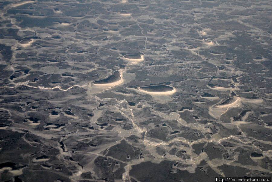 Зима в иллюминаторе: Куршский залив Куршская Коса Национальный Парк, Россия