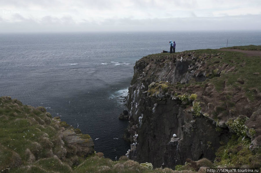 Latrabjarg bird cliffs Северо-западная Исландия, Исландия