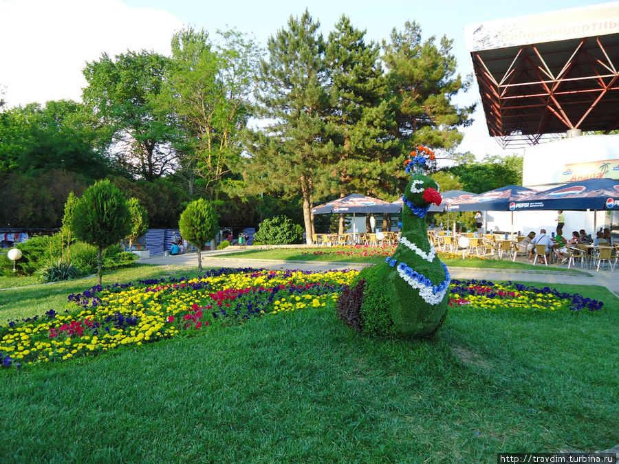 Та самая курица Анапа, Россия