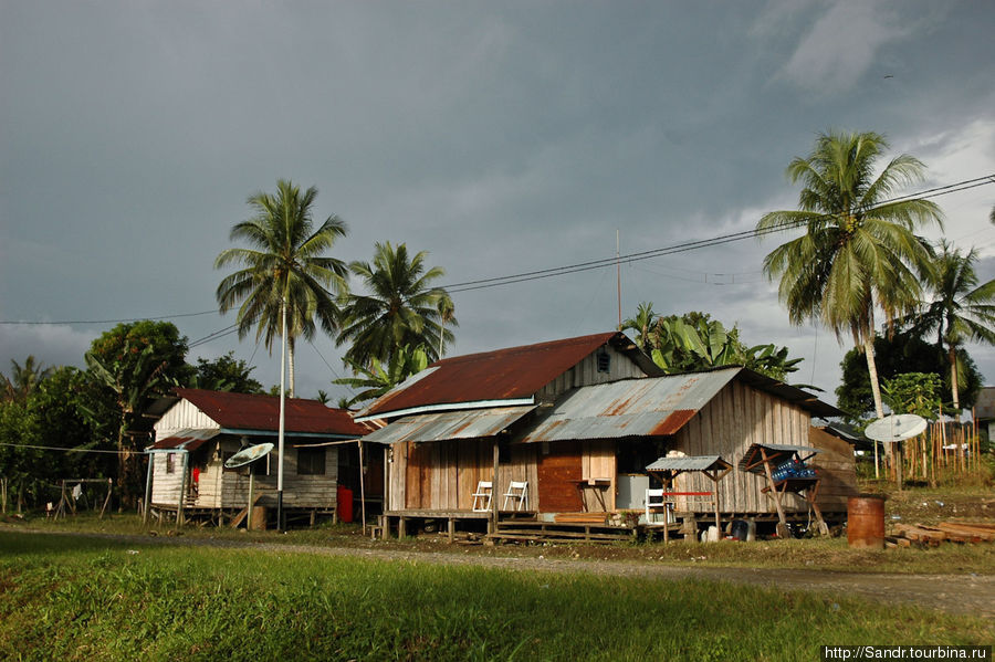 Если в поселке домики вот такие… Папуа, Индонезия