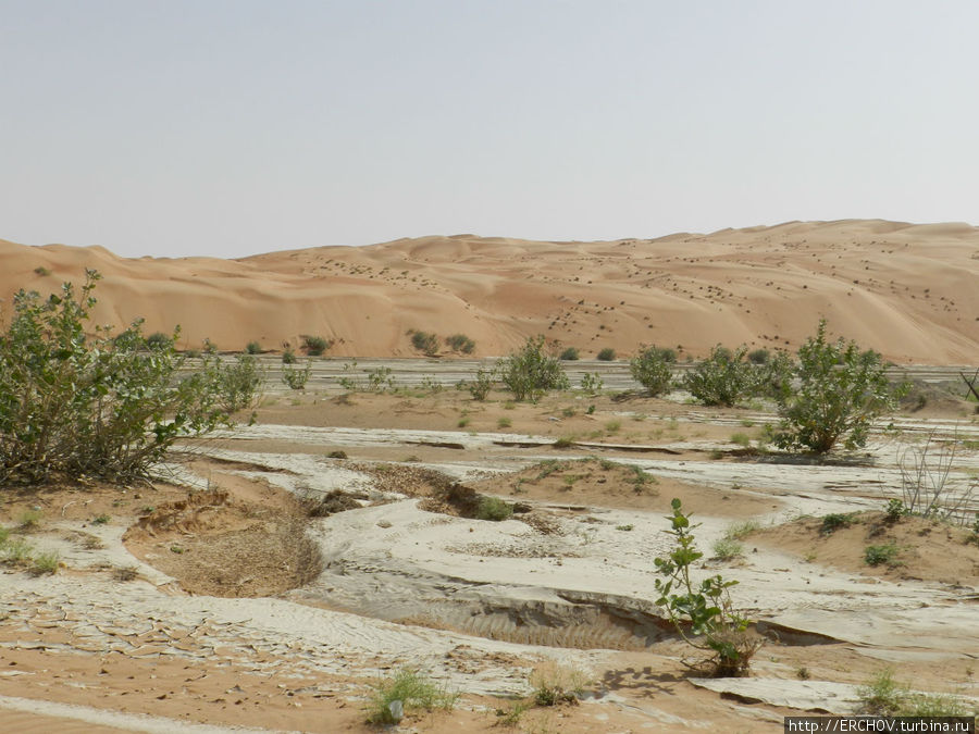 Воспоминания о Султанате Часть 9 В песках пустыни Ваххиб Регион Аль-Батина, Оман