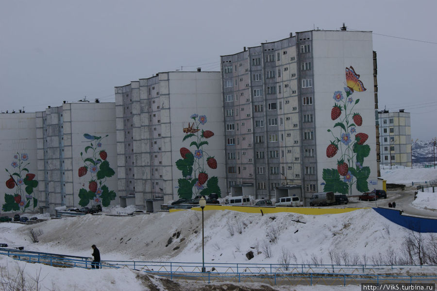 Дома с земляничкой — визитная карточка города. Снежногорск, Россия