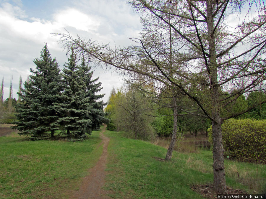 Апрельские прогулки по дендропарку аграрного университета Докучаевское, Украина
