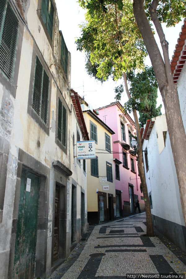 Улица рядом с отелем. Фуншал, Португалия