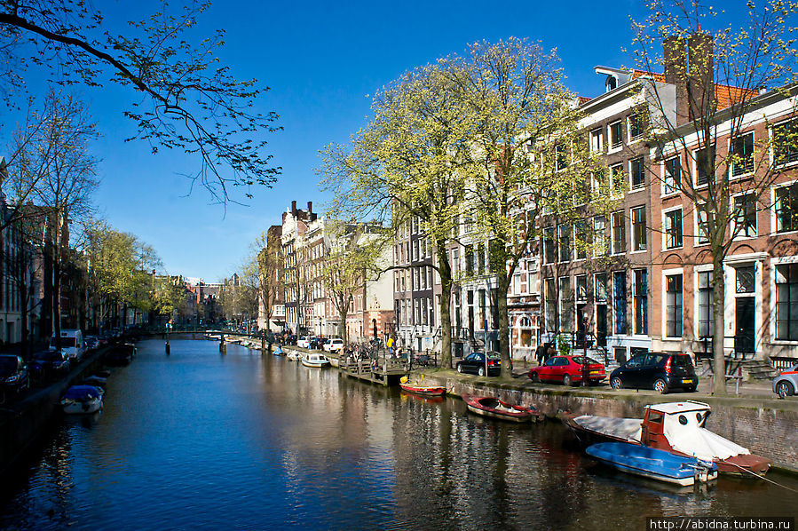 Амстердам зеленоградск. Канал Сингел Амстердам. Амстердам 19 век. Амстердам Дармак. Внутренние воды Амстердама.