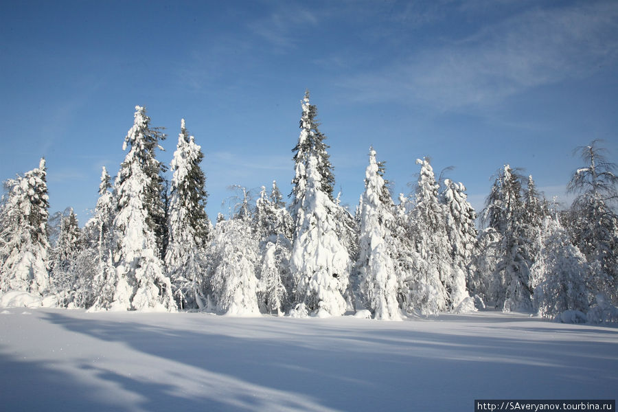 Заснеженный лес и Каменный город Пермский край, Россия