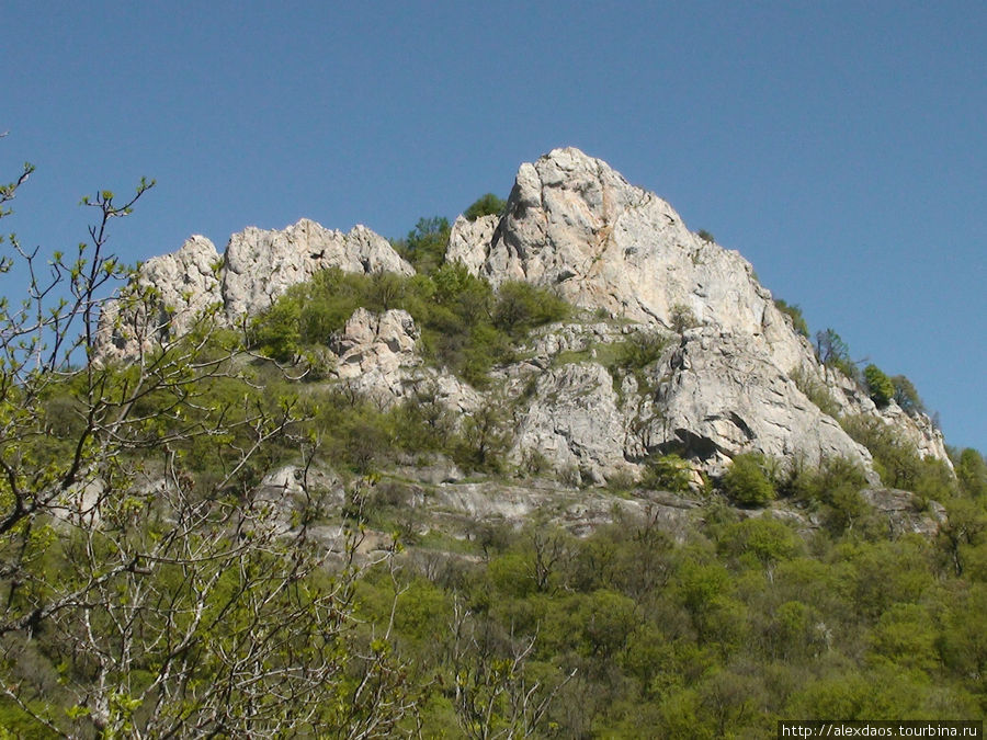 Семинар по Цигун в Крыму 2009г. Республика Крым, Россия