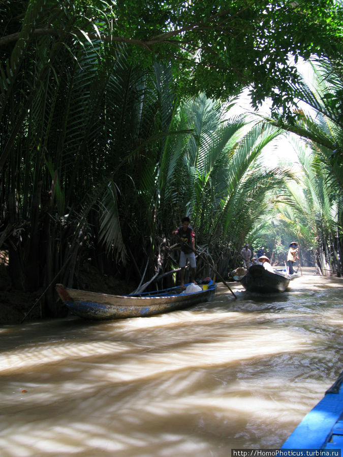 Протоки Меконга Дельта реки Меконг, Вьетнам