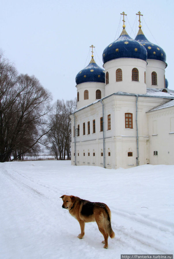 Крестовоздвиженский собор Великий Новгород, Россия