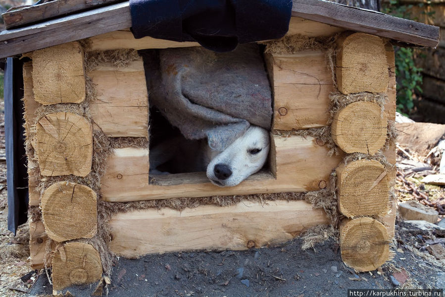 Собакина избушка. Магаданская область, Россия