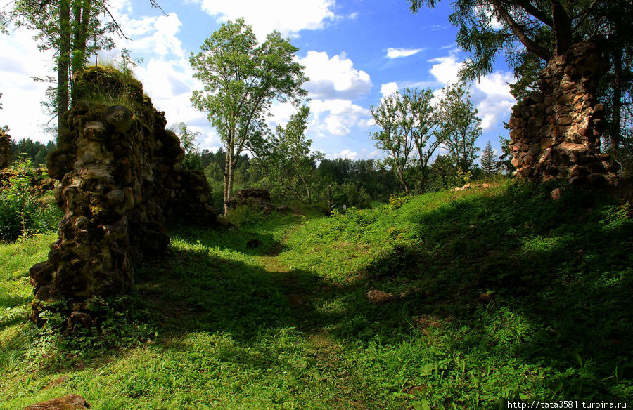 Развалины рыцарского замка Хельме Хельме, Эстония