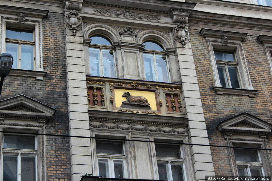 Родина Крота и Саудэка Прага, Чехия