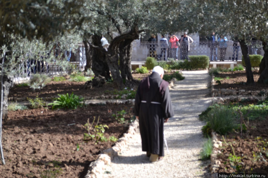 Монах-францисканец Иерусалим, Израиль