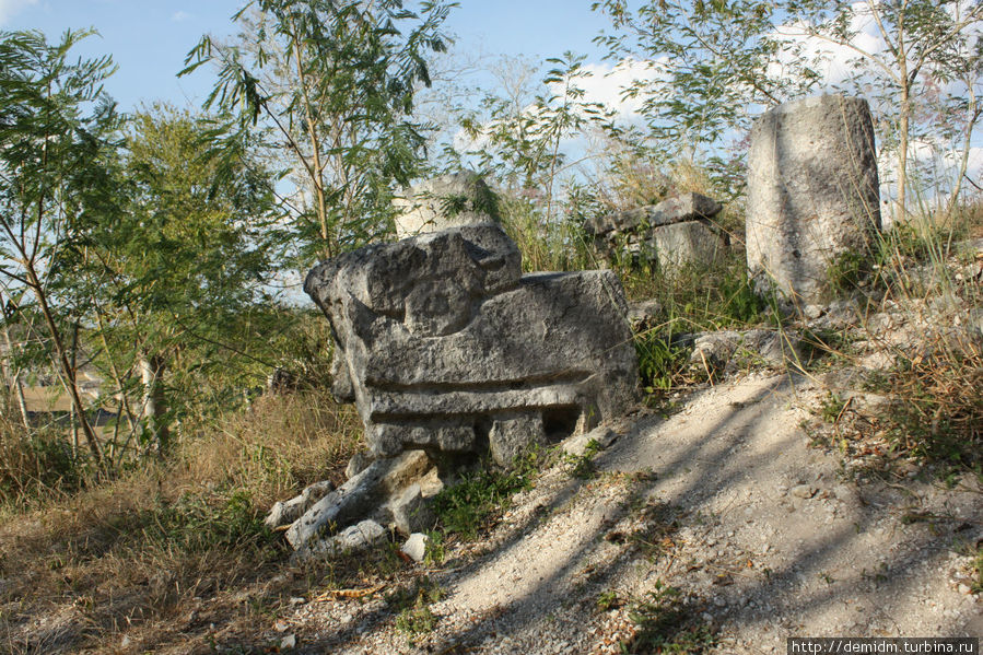 Каменная голова змеи н а вершине небольшой нераскопанной пирамиды. Майапан, Мексика