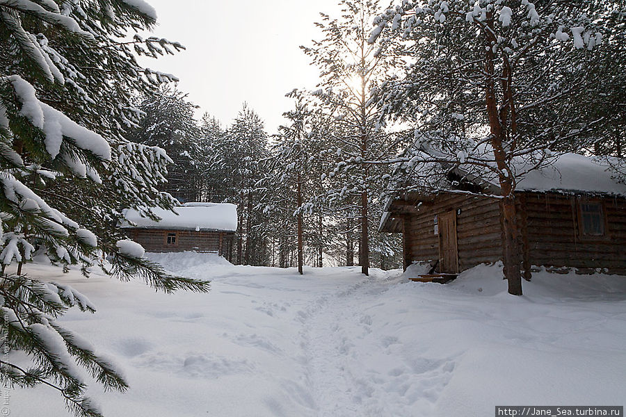 Зимние домики Рай в шалаше Морщихинская, Россия