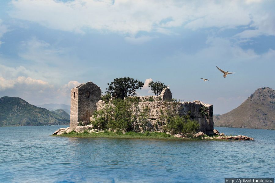 Скадарское озеро (взято из интернета) Черногория