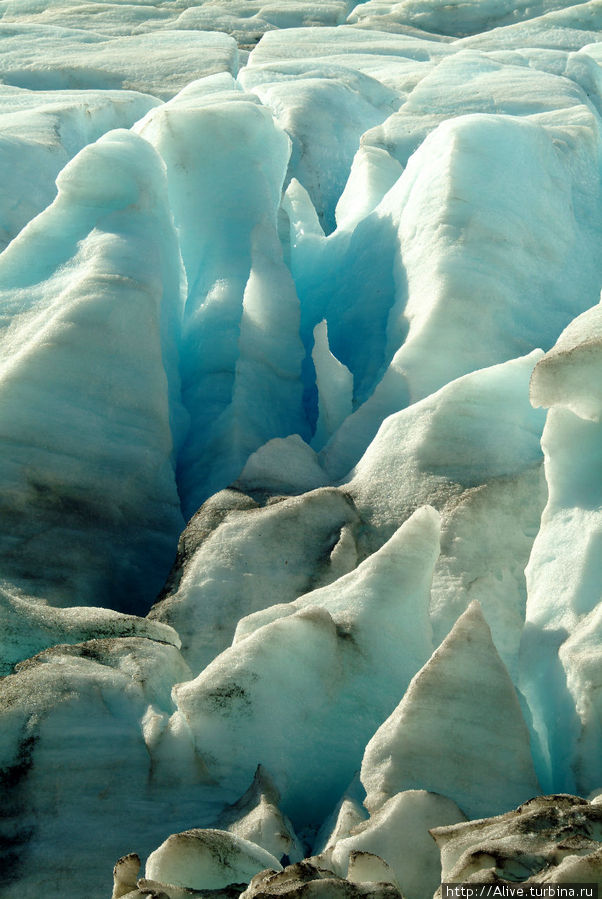 Ледник, стирающий в порошок Национальный парк Кенай-Фьордс, CША