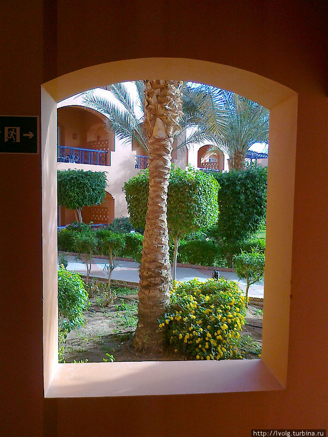 Окно в Африку Макади-Бей, Египет