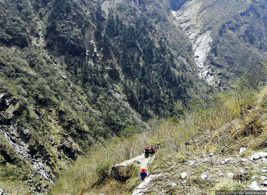 Пейзаж вокруг ощутимо меняется: склоны гор становятся всё ближе и ближе, а масштаб рельефа – резче… Национальный парк Аннапурны, Непал