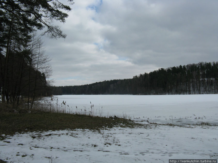 Озеро Щибот Витебская область, Беларусь