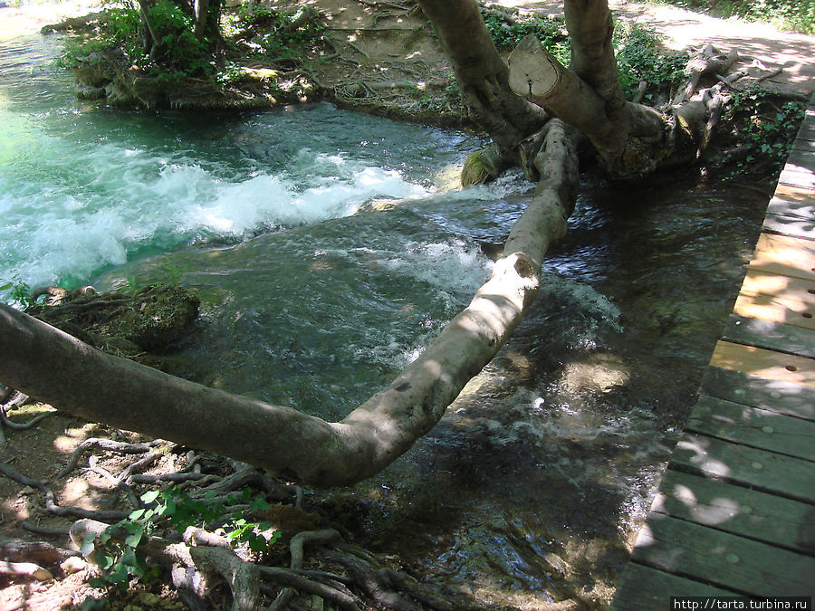 Чарующая музыка воды Далмация, Хорватия