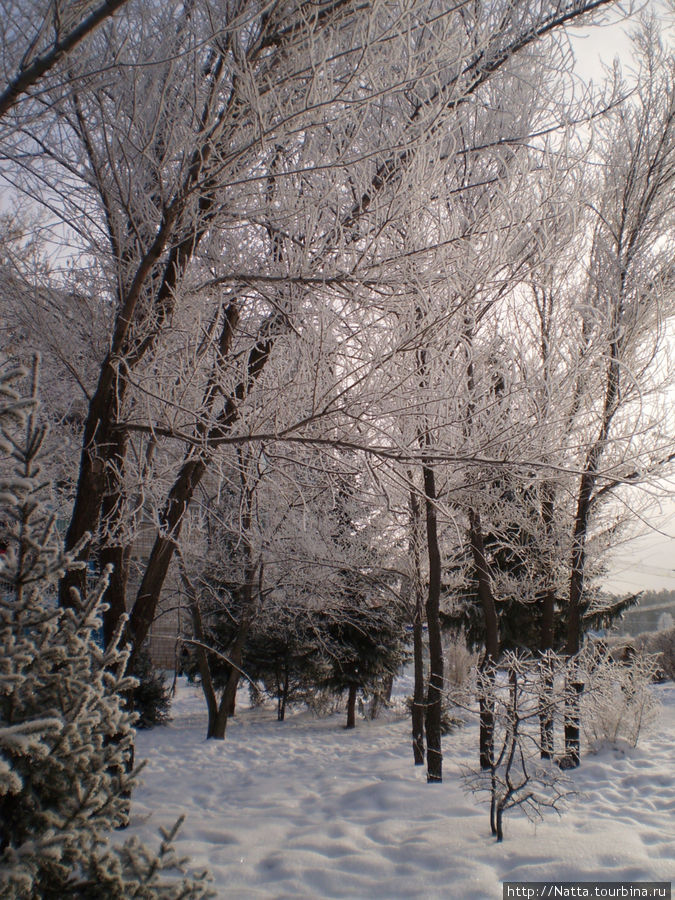 Зимняя сказка Алтайский край, Россия