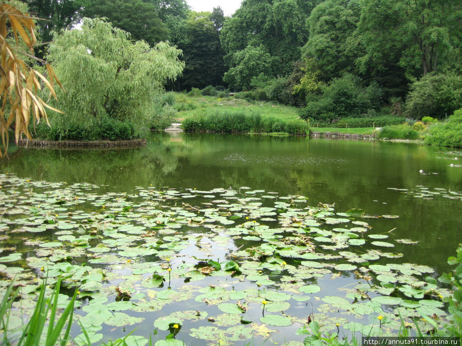 Ботанический сад: озеро Мюнстер, Германия