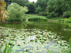 Ботанический сад: озеро