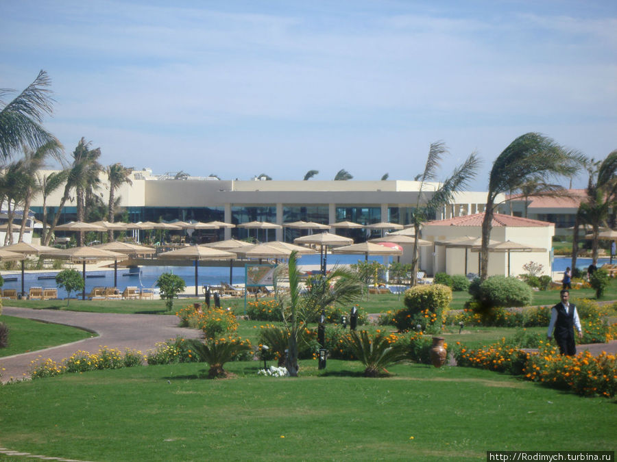 Вид на бассейн и ресторан Шарм-Эль-Шейх, Египет