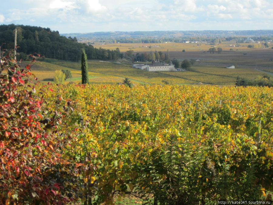 Самое сердце винной индустрии Сент-Эмильон, Франция