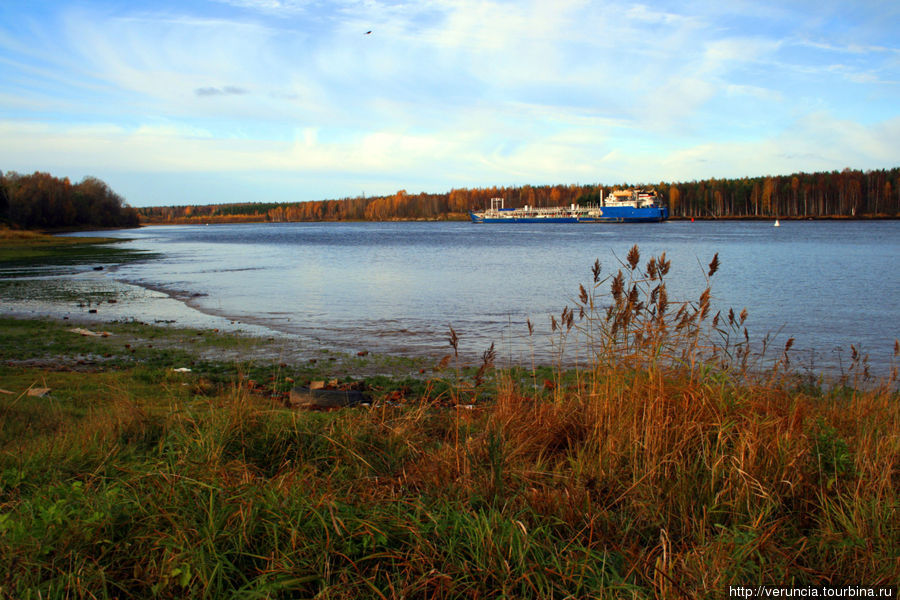 река Свирь в Лодейном Поле Старая Слобода, Россия