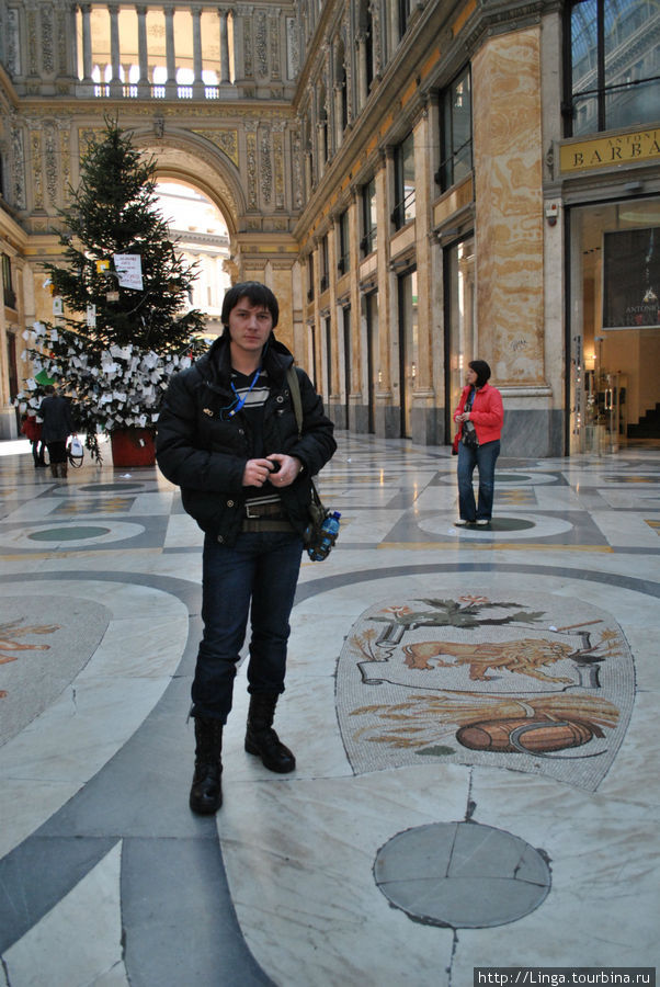 В центре мозаичные знаки зодиака. Денис около своего знака Льва. Неаполь, Италия