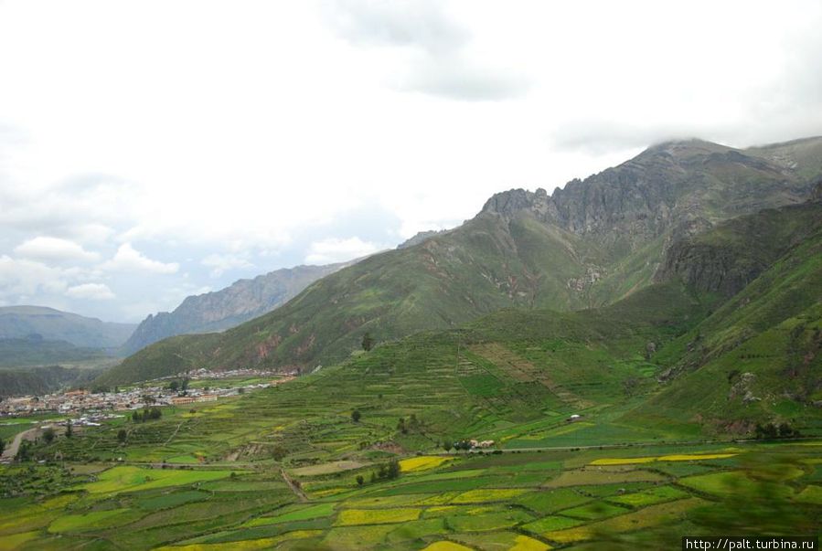 Впереди Чивай Регион Пуно, Перу
