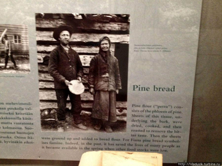 Сосновый хлеб Пункахарью, Финляндия