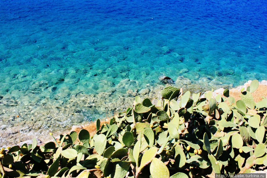Длинный шип залива Мирабелло Элунда, Греция