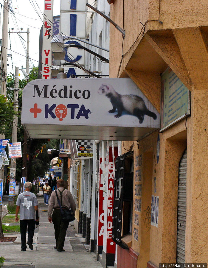 Медик Кота — тут и испанский учить не надо — все понятно :) Мехико, Мексика