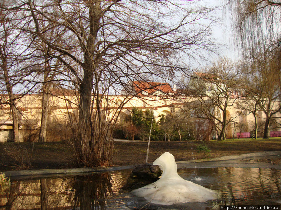 Вояновы сады. Ледяной лебедь плачет... В Прагу пришла весна! Прага, Чехия