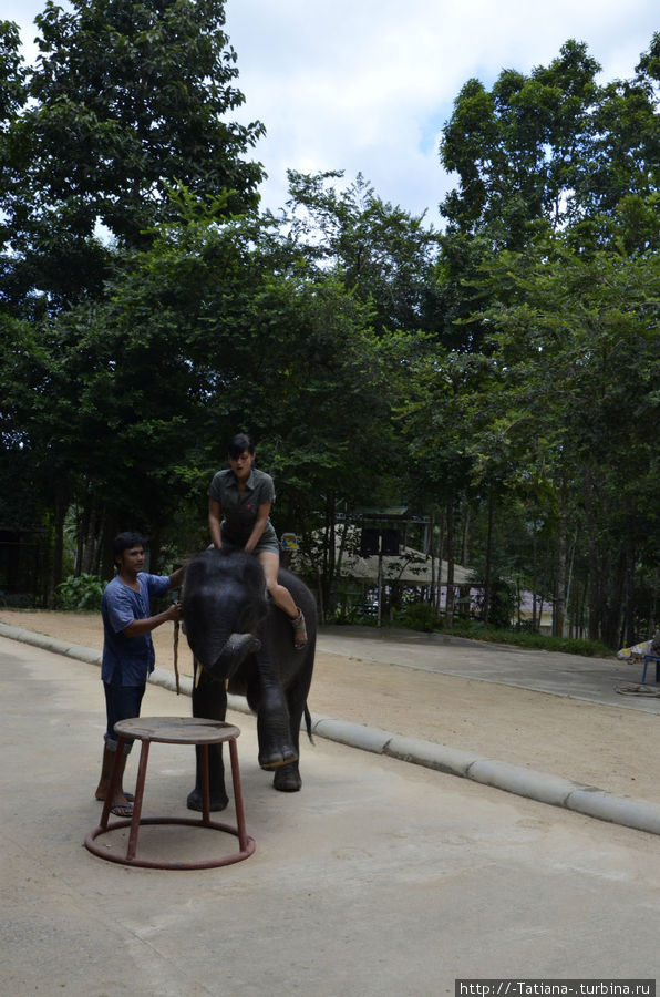 Он так резво с тумбы на тумбу сигал, а я все же не каждый день на слонах сижу. Остров Самуи, Таиланд