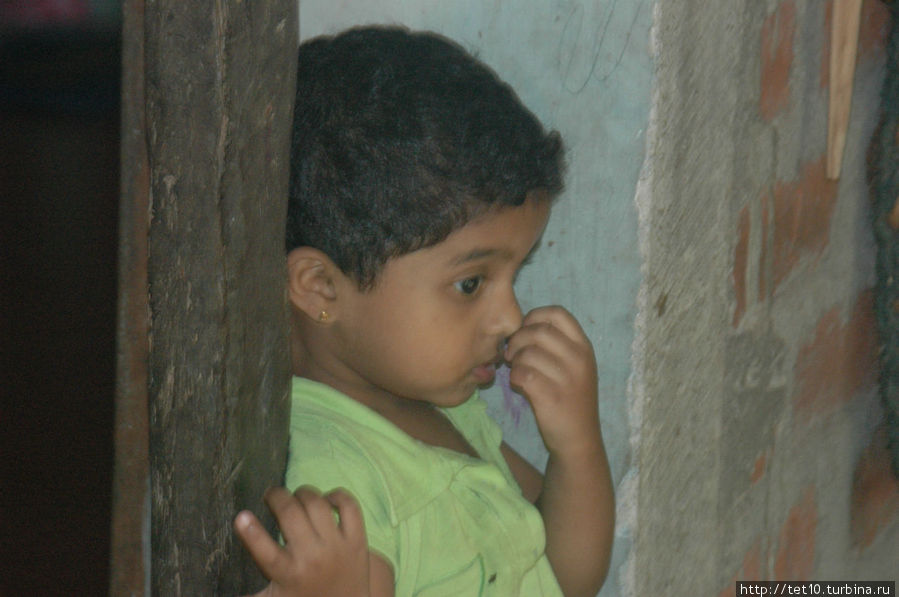 Детский мир Шри-Ланка