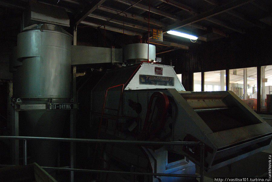 Пожить в английском особняке, посмотреть на чайные плантации Нувара Элия, Шри-Ланка