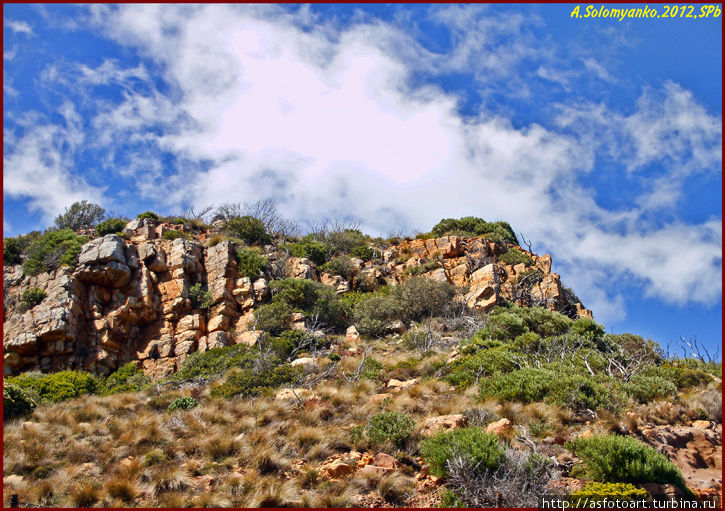 Капская Ривьера и Львиная гора, 12 апостолов и моды... Кейптаун, ЮАР
