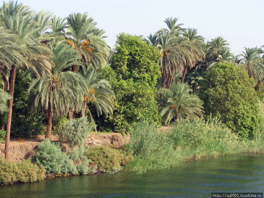 Пейзажи на Ниле Египет