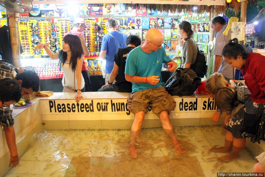 Всего за 3 доллара США (в стоимость входит одна банка пива!) можно сделать себе пилинг рыбами — пока самому не надоест Сиемреап, Камбоджа