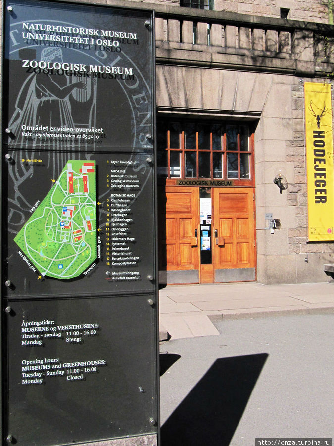 Музей зоологии. Осло, Норвегия