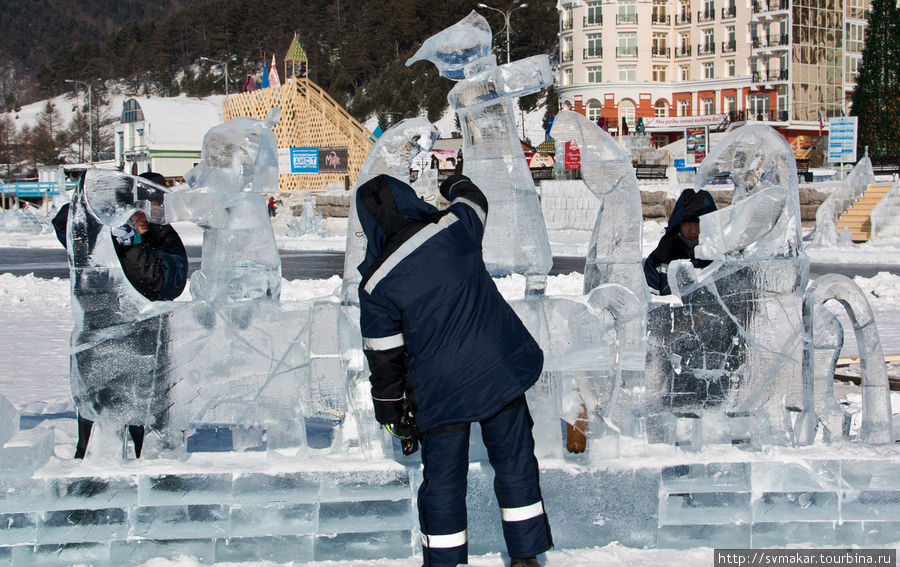 Хрустальная нерпа. 