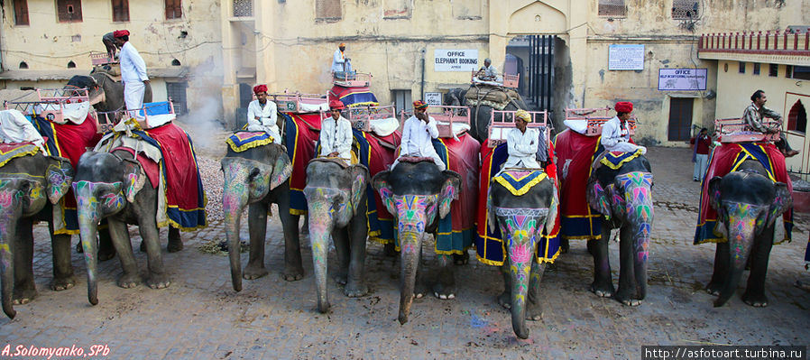Выбирай — не хочу! :)
Где-то бронируют машины, здесь — слонов! Джайпур, Индия