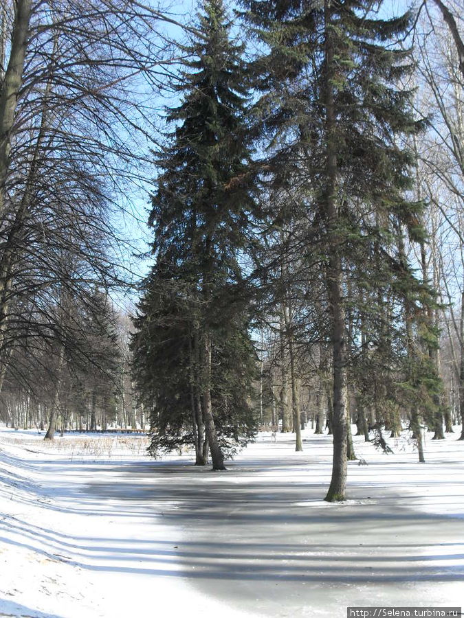 Весна еще не наступила Санкт-Петербург, Россия