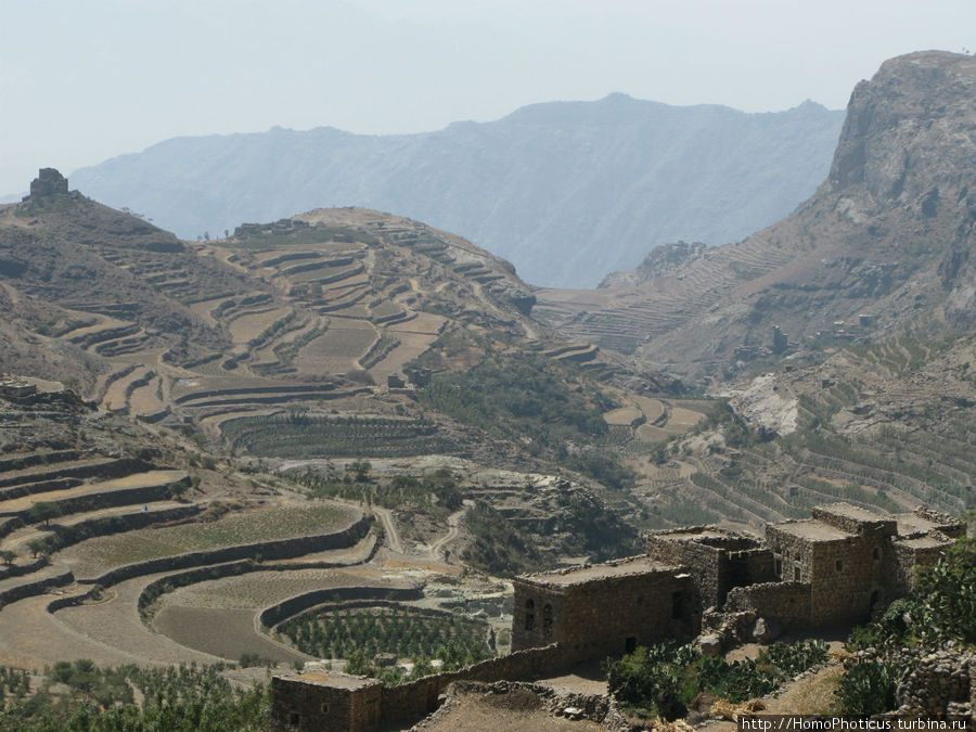 Манаха Манаха, Йемен