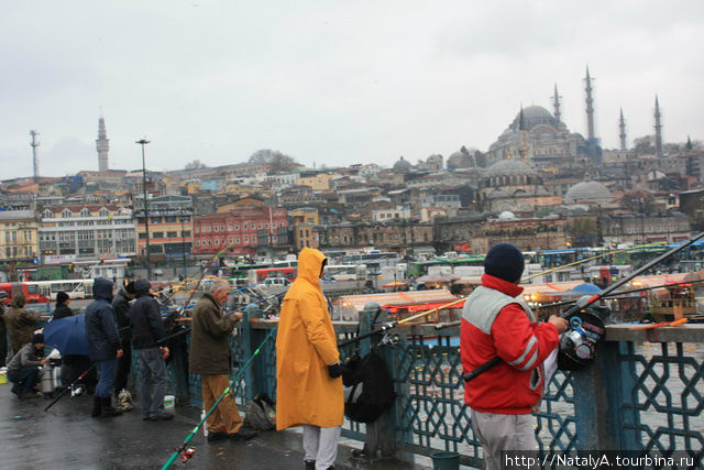 Стамбул. Галатский мост. Рыбный рынок. Туннель /ч.13 Стамбул, Турция