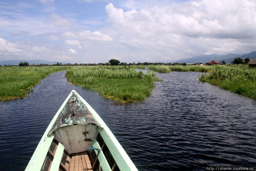Лодка идет по узкой протоке между зарослями Ньяунг-Шве, Мьянма
